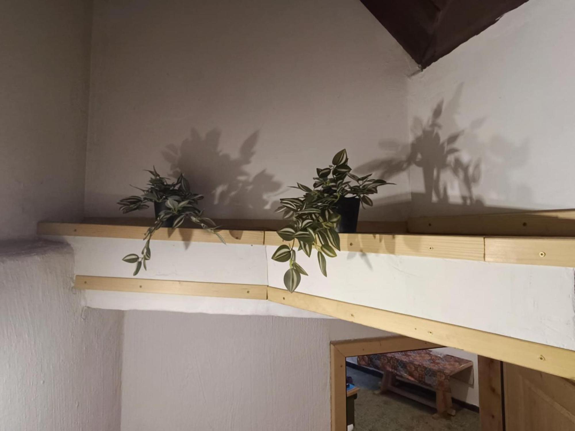 הוסטל מויסטראנה Sigma House מראה חיצוני תמונה